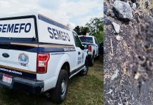 Localizan osamenta en fosa clandestina en zona cerril de Jacona