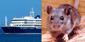 Crucero con hantavirus: Confirman nuevos contagios tras el regreso de los turistas a sus países