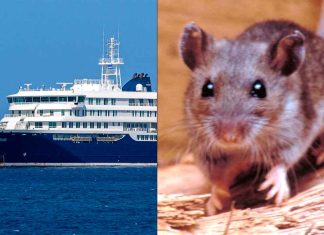 Crucero con hantavirus: Confirman nuevos contagios tras el regreso de los turistas a sus países