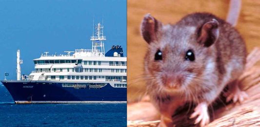 Crucero con hantavirus: Confirman nuevos contagios tras el regreso de los turistas a sus países