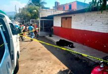 Muere adulto mayor en la vía pública de Chupio, Tacámbaro