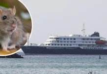 España prepara logística para recibir al barco con el brote de hantavirus