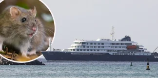España prepara logística para recibir al barco con el brote de hantavirus