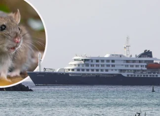 España prepara logística para recibir al barco con el brote de hantavirus
