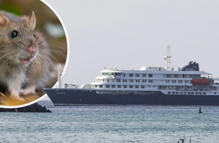España prepara logística para recibir al barco con el brote de hantavirus