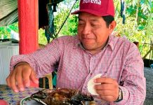 Indignación en redes: dirigente de Morena consume tortuga protegida