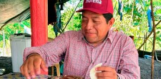 Indignación en redes: dirigente de Morena consume tortuga protegida