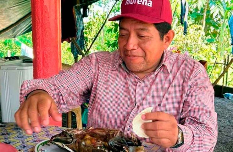 Indignación en redes: dirigente de Morena consume tortuga protegida
