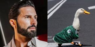 ¡Quieren llevarse al Pato Merlín! Millonaria oferta enciende la polémica en redes