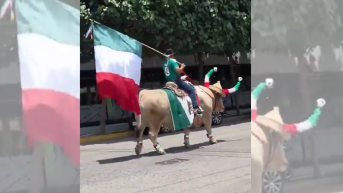 captan momento viral con un toro en México