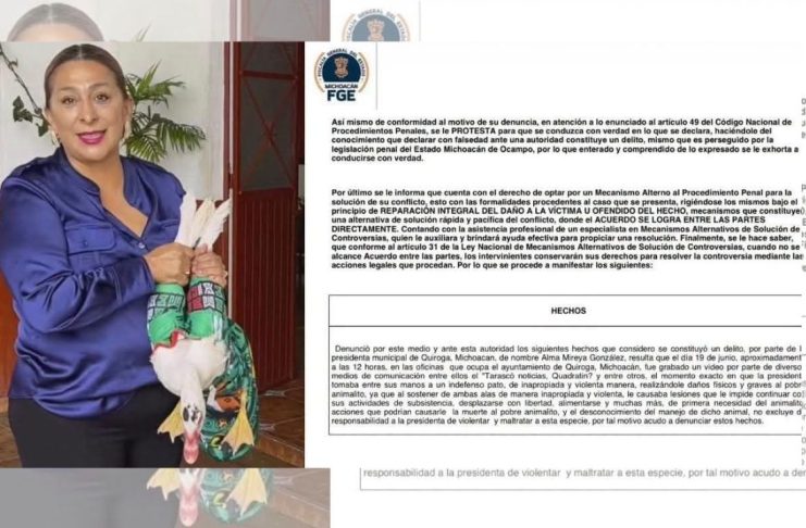 #VIDEO // Polémica del Pato Merlín escala: presentan denuncia contra alcaldesa de Quiroga