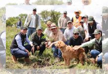 Michoacán va por récord verde; inicia Bedolla campaña para plantar 13 millones de árboles