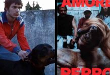 La aclamada cinta mexicana “Amores Perros” regresará como serie de televisión a nivel internacional