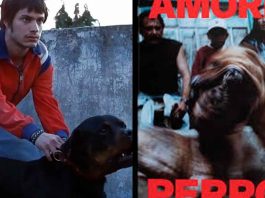 La aclamada cinta mexicana “Amores Perros” regresará como serie de televisión a nivel internacional