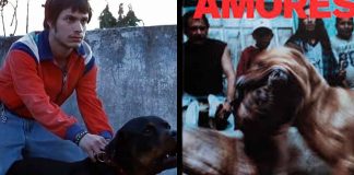La aclamada cinta mexicana “Amores Perros” regresará como serie de televisión a nivel internacional