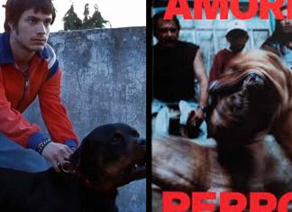 La aclamada cinta mexicana “Amores Perros” regresará como serie de televisión a nivel internacional