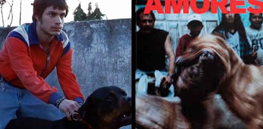 La aclamada cinta mexicana “Amores Perros” regresará como serie de televisión a nivel internacional