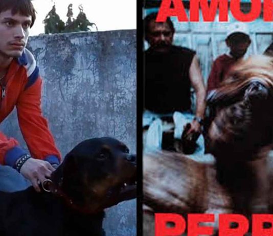 La aclamada cinta mexicana “Amores Perros” regresará como serie de televisión a nivel internacional