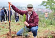 Anuncia Bedolla reforestación de 17 mil hectáreas con 10.5 millones de árboles