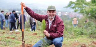 Anuncia Bedolla reforestación de 17 mil hectáreas con 10.5 millones de árboles