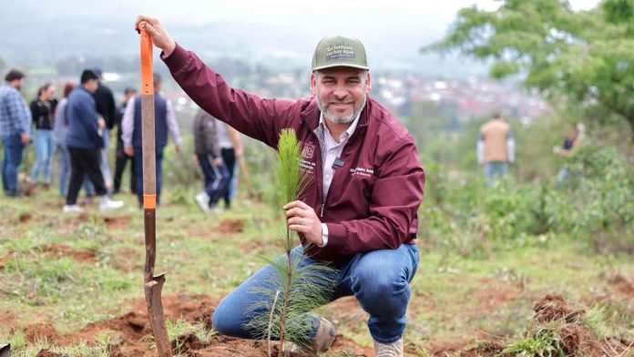 Anuncia-Bedolla-reforestación-de-17-mil-hectáreas