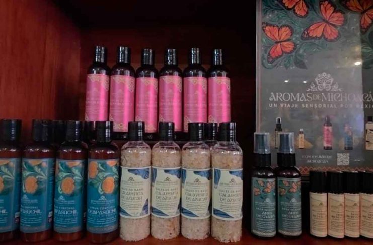 Aromaterapia michocacana sí existe con olores a pan de muerto, cempasúchil y bosques de oyamel