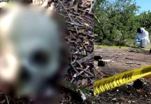 Hallan cráneo humano en zona cerril de Apatzingán