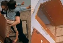#VIDEO // Héroe de 5 años frustró el secuestro de una niña y evitó una tragedia