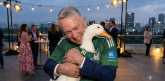 Salinas se le adelanta a la presidenta e invita al Pato Merlín al partido de México vs Chequia