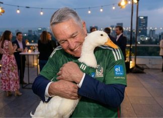 Salinas se le adelanta a la presidenta e invita al Pato Merlín al partido de México vs Chequia