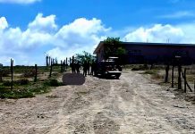 Abandonan cadáver baleado en brecha de la tenencia de La Mira