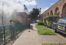 Incendio en árbol de establecimiento cerca de la Fuente de las Tarascas es controlado por Bomberos