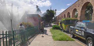 Incendio en árbol de establecimiento cerca de la Fuente de las Tarascas es controlado por Bomberos