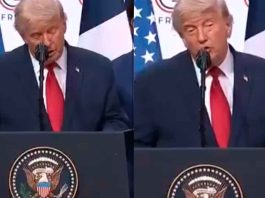 #VIDEO // Donald Trump asegura que México perdió el control del país ante el crimen organizado