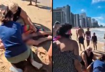 #VIDEO // Horror en el mar: dos ataques de tiburón encienden las alarmas en Brasil