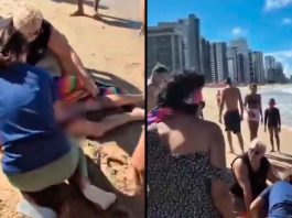 #VIDEO // Horror en el mar: dos ataques de tiburón encienden las alarmas en Brasil