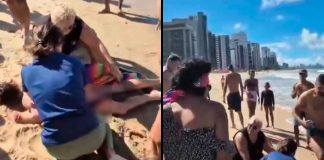 #VIDEO // Horror en el mar: dos ataques de tiburón encienden las alarmas en Brasil