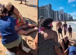 #VIDEO // Horror en el mar: dos ataques de tiburón encienden las alarmas en Brasil