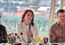 Fabiola Alanís pide licencia al Congreso de Michoacán para participar en el proceso interno de Morena
