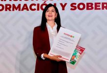 Gaby Molina va por la gubernatura de Michoacán