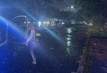 Tormenta eléctrica provoca caída de árboles, inundaciones y cortes de energía en Morelia