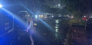 Tormenta eléctrica provoca caída de árboles, inundaciones y cortes de energía en Morelia