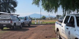 Hallan cadáver putrefacto y con huellas de violencia de una mujer