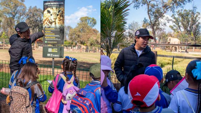 Invita-Zoológico-de-Morelia-a-escuelas-a-celebrar-el-fin-de-cursos