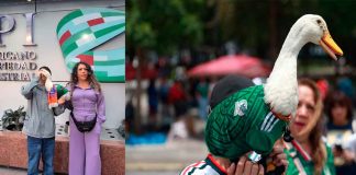 De fenómeno viral a marca registrada: Merlín busca proteger su imagen ante el IMPI