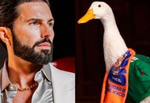 Dueña del Pato Merlín rechaza propuesta de Poncho de Nigris para comprar a su mascota