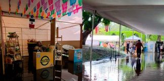 Productores del FMO temen que por los encharcamientos bajen las ventas