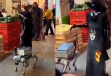 #VIDEO // Robots con sombrero y delantal pasean por los pasillos de la Central de Abasto en CDMX