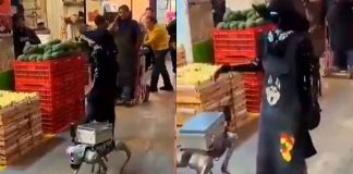 #VIDEO // Robots con sombrero y delantal pasean por los pasillos de la Central de Abasto en CDMX