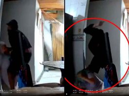 #VIDEO // Sujeto ingresa a casa de mujer de la tercera edad para asaltarla